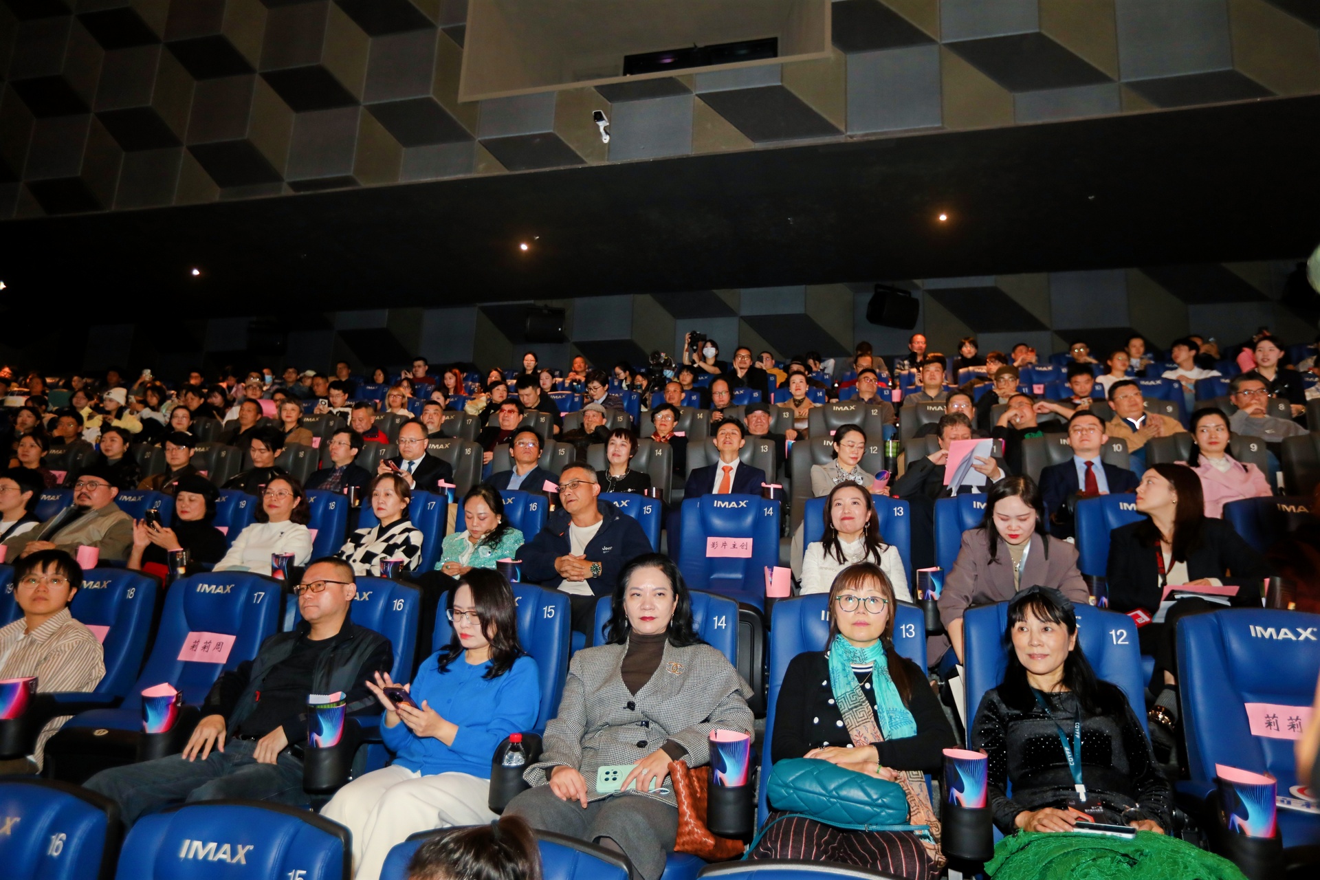 開幕式觀影現場。主辦方供圖