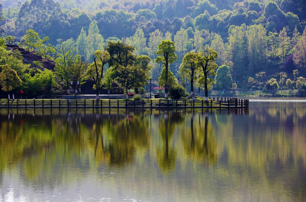 臨江河永川段水清岸綠景美。重慶市水利局供圖