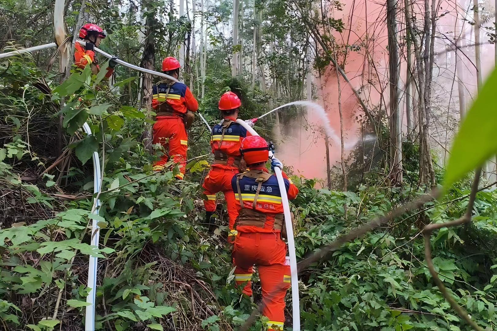 訓練現場。受訪單位供圖
