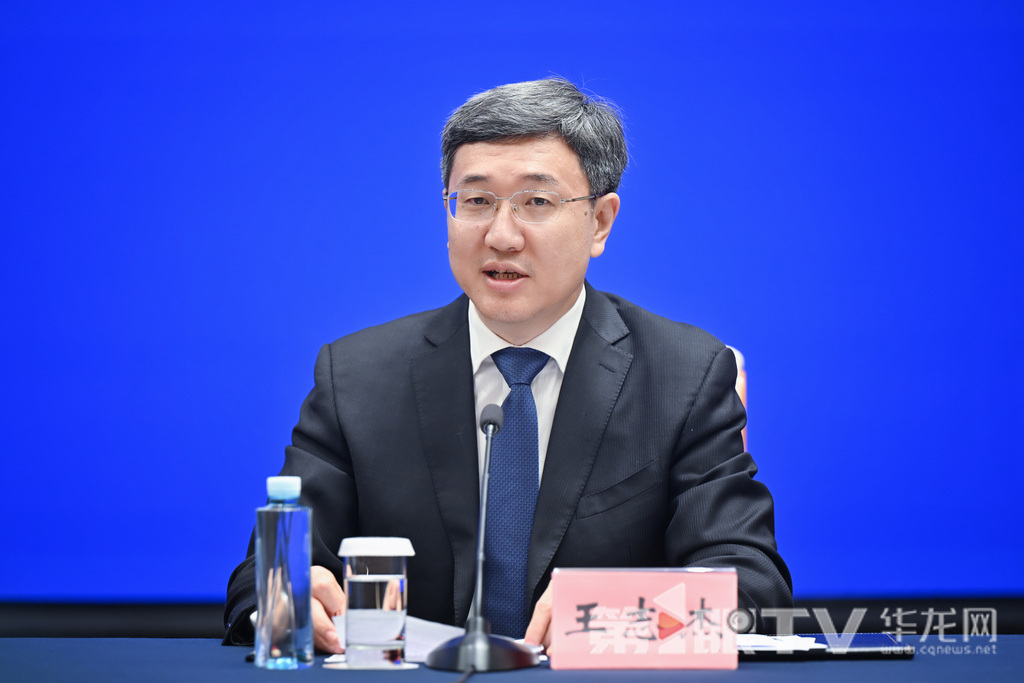 重慶市經濟信息委主任王志杰。第1眼TV-華龍網記者 李一鳴 攝