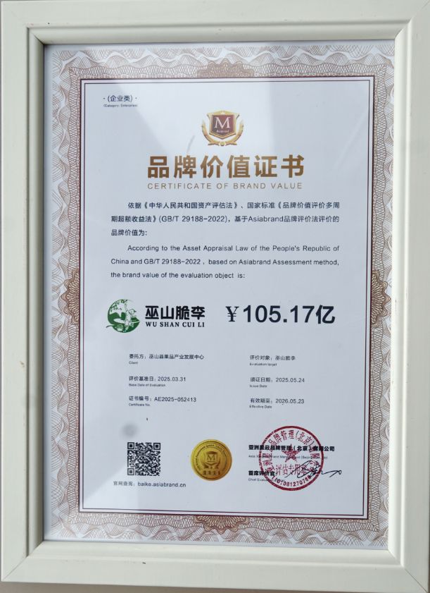 巫山脆李品牌價值破百億。 活動主辦方供圖