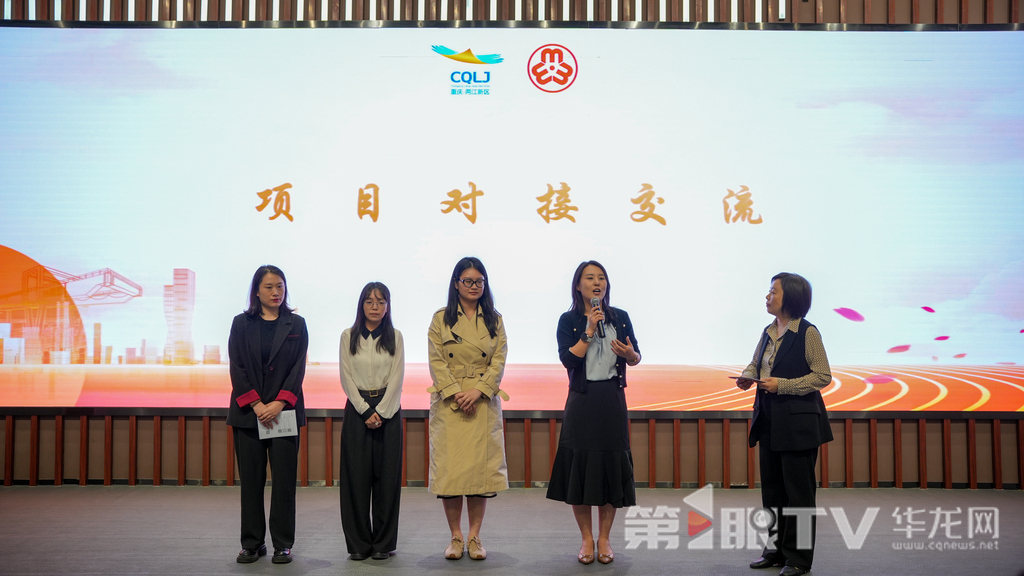 现场项目对接交流,第1眼TV-华龙网记者 陈毅 摄