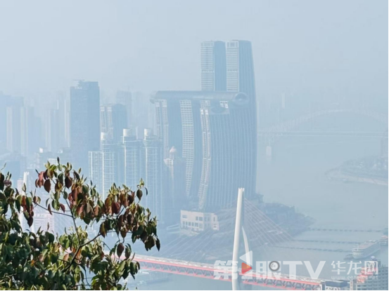 今日重庆大部地区阴天到多云。 第1眼TV-华龙网 谭玉玺 摄