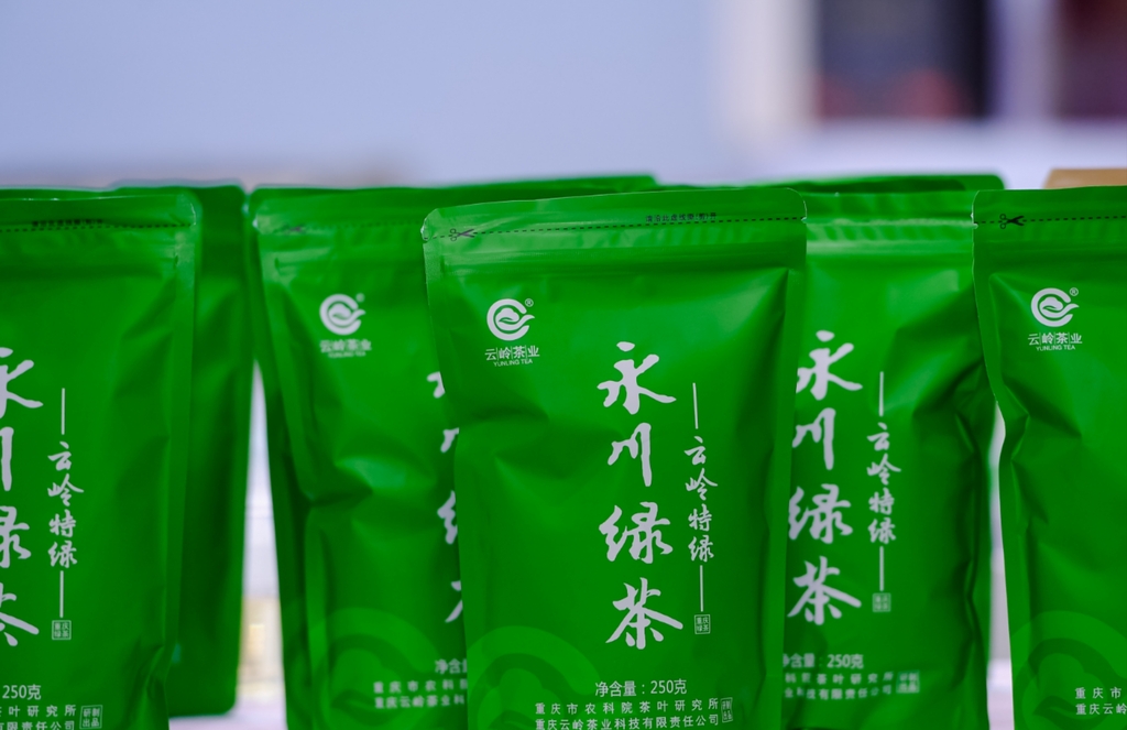 展会现场 主办方供图