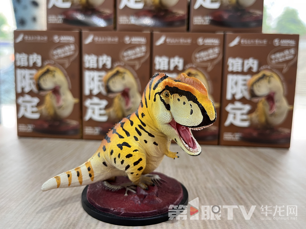 重庆自然博物馆永川龙手办模型。第1眼TV-华龙网记者吴礼霜 摄