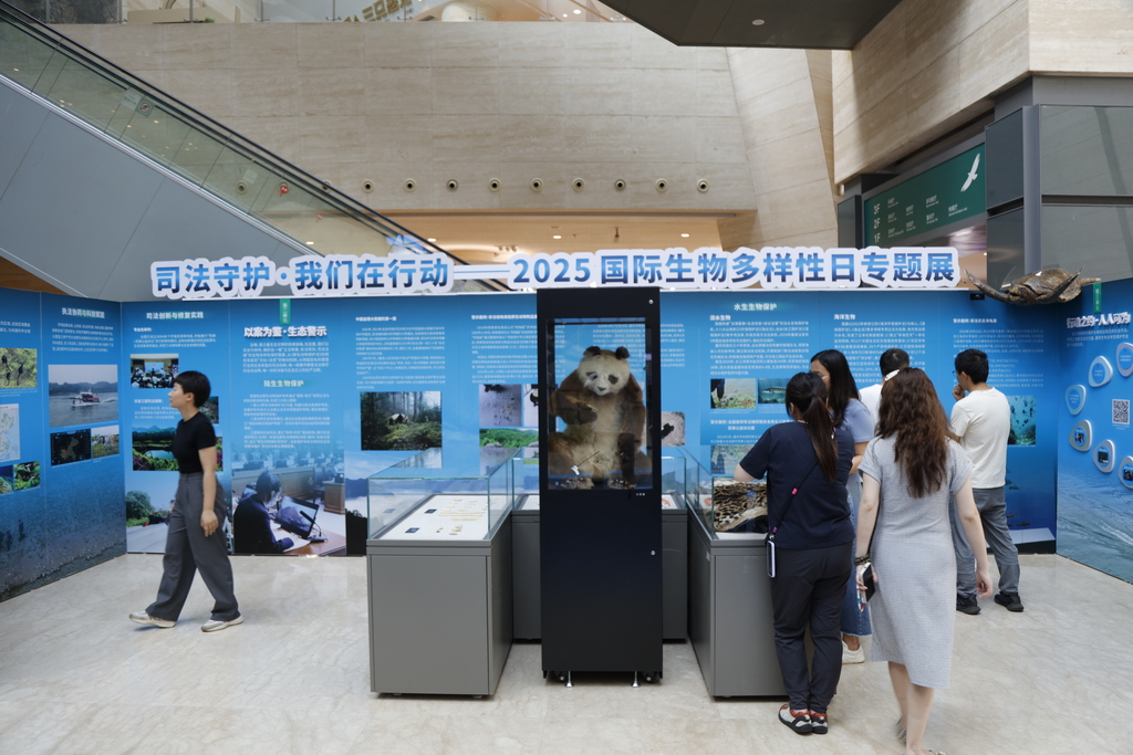 微信图片_20250522204555