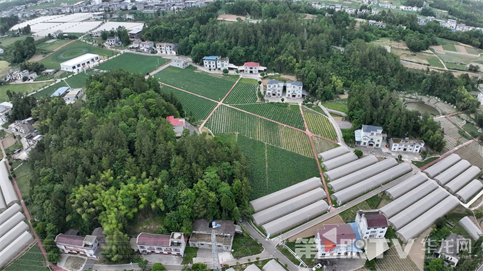 尖山鎮(zhèn)馬鈴薯初加工展示基地。第1眼TV-華龍網記者 李燊 攝