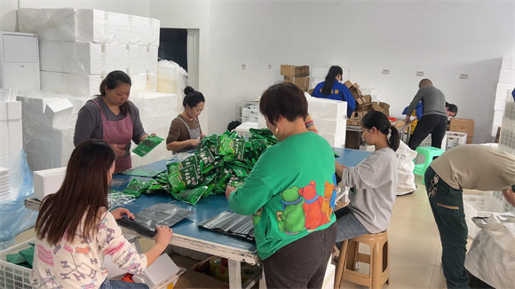 豐源花椒生產(chǎn)車間正在打包花椒制品。江津商務(wù)委供圖 第1眼TV-華龍網(wǎng)發(fā)