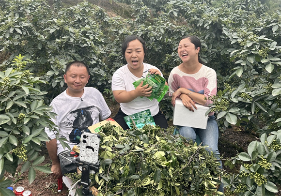 新農(nóng)人直播賣花椒產(chǎn)品。江津商務(wù)委供圖 第1眼TV-華龍網(wǎng)發(fā)