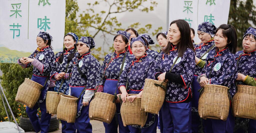 舉辦老鷹茶開采節。武隆浩口鄉政府供圖