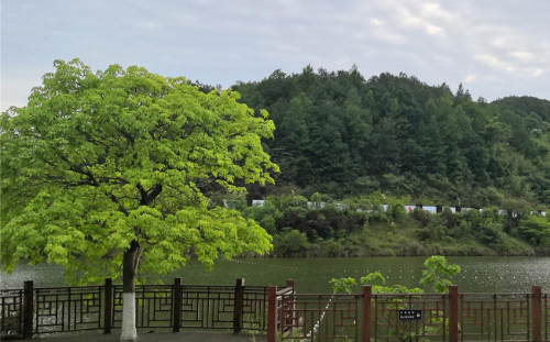 Cropped by 华龙芯 2025-05-05 21:36:09