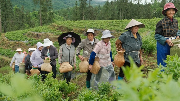 村民滿載而歸。通訊員 楊長萬 攝