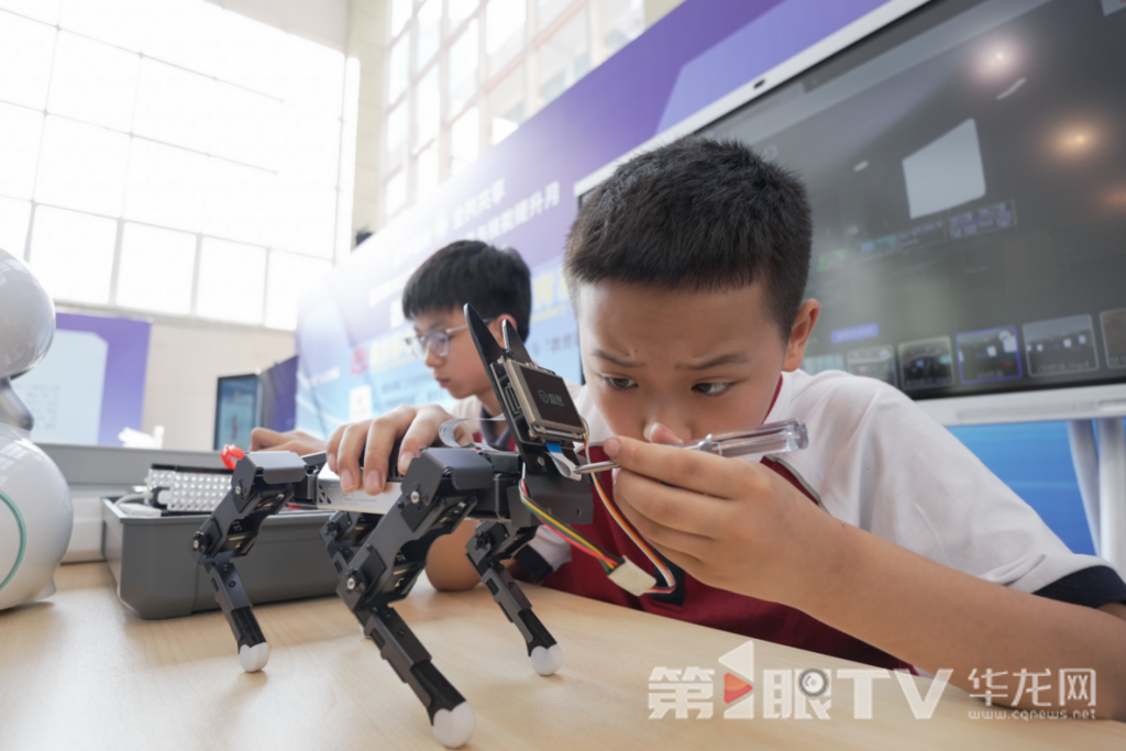 学生展示自己的“机器狗”。第1眼TV-华龙网记者 李一鸣 摄