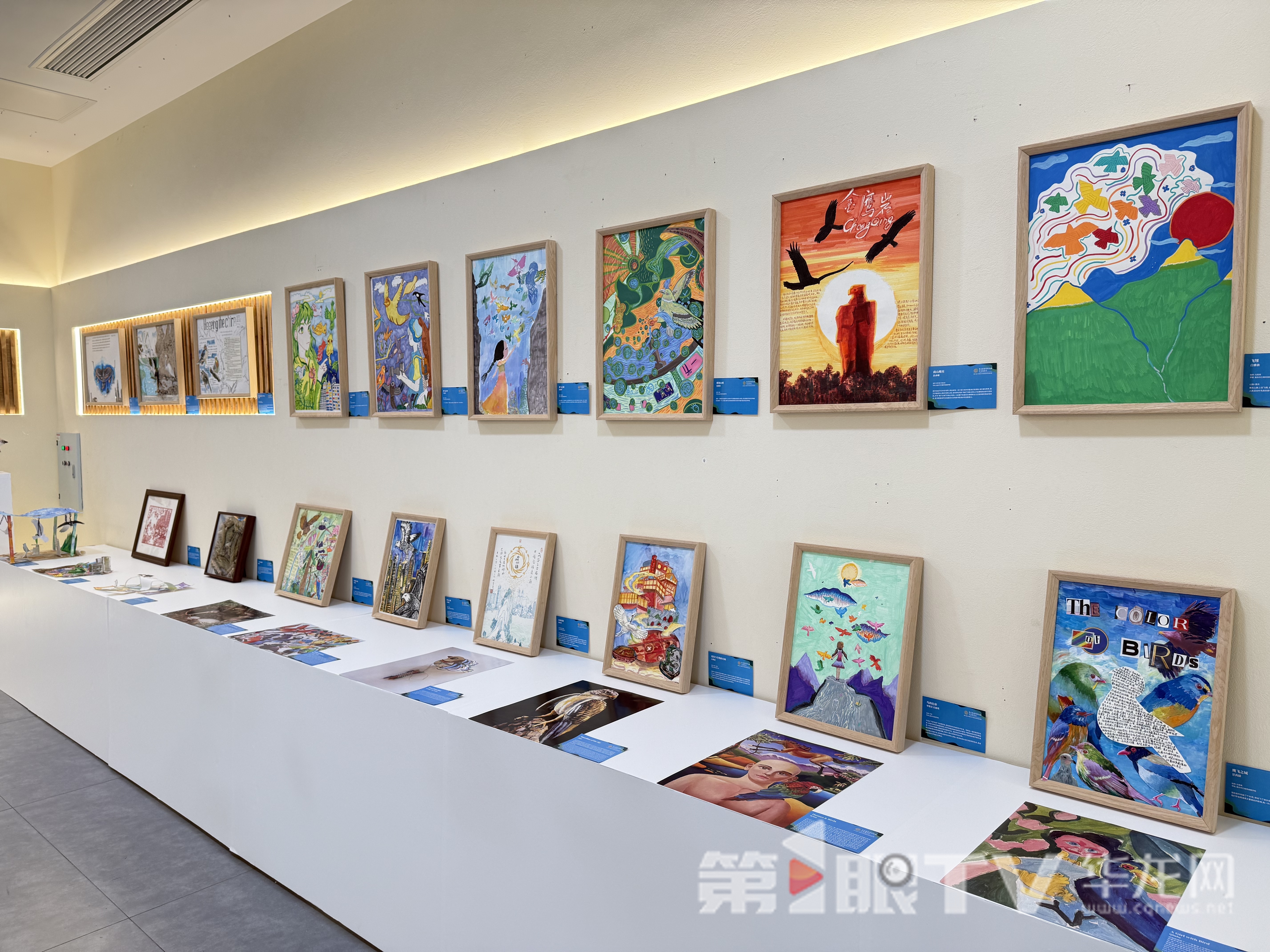作品展示。第1眼TV-华龙网记者 谢鹏飞 摄