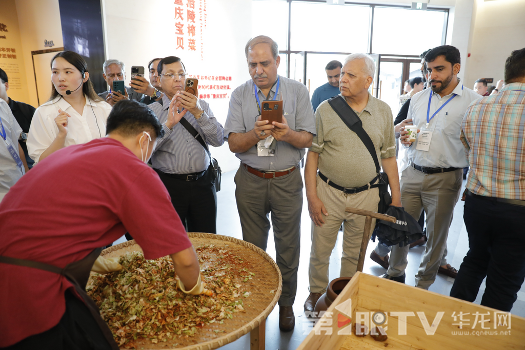 参访团走进涪陵榨菜基地。第1眼TV-华龙网记者 陈洋摄