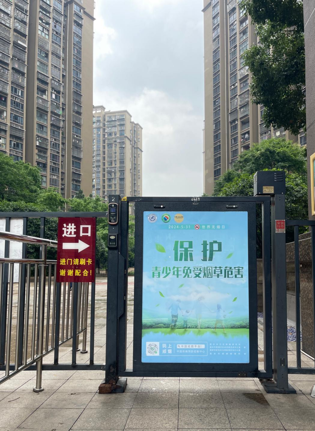 图片11