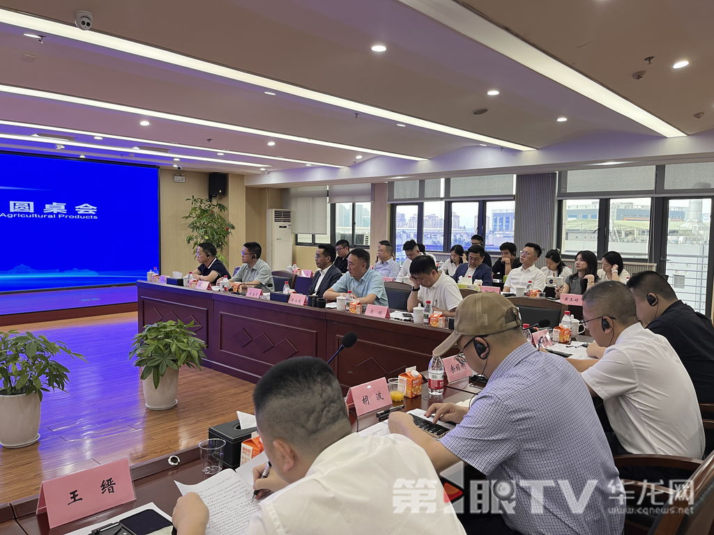 圆桌会现场。第1眼TV-华龙网记者吴礼霜 摄