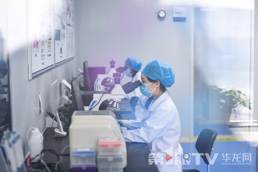 重庆大学智慧病理诊断中心,医生正在实验室内工作。