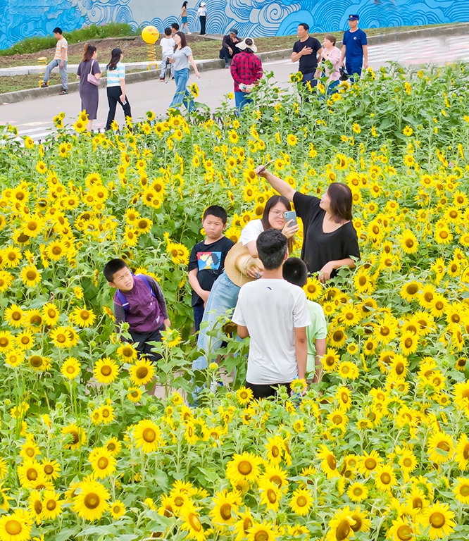 游客川流不息。通訊員 余鴻 攝