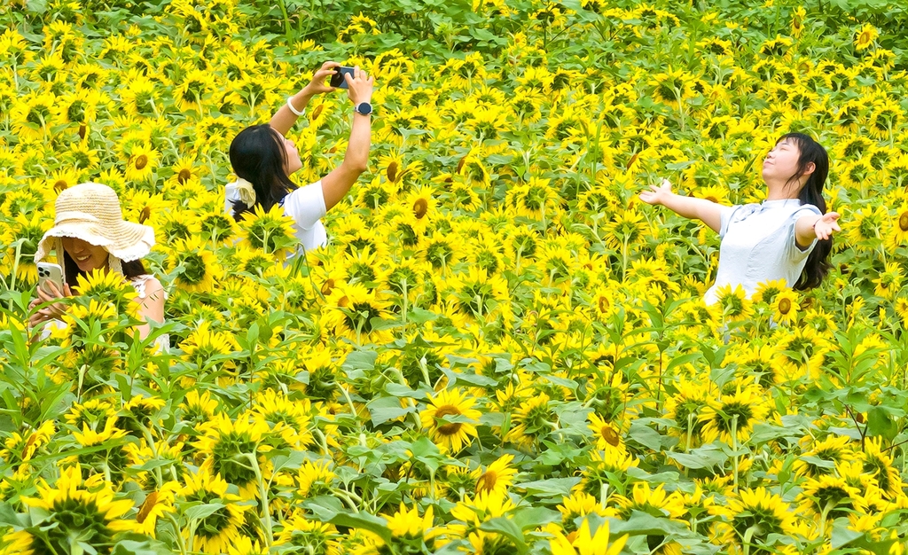 游人沉醉于花海。通訊員 余鴻 攝