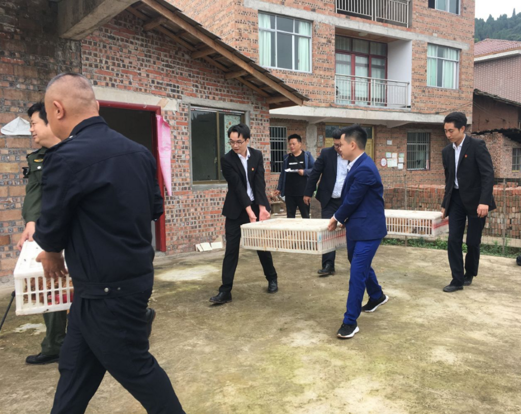 助力鄉村振興，支持困難農戶開展勞動養殖。中交資管重慶總部供圖