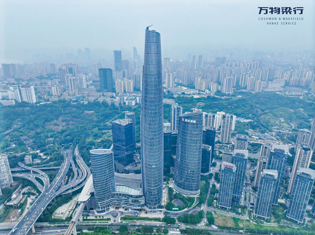 实拍图。项目供图