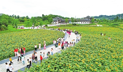 图片1
