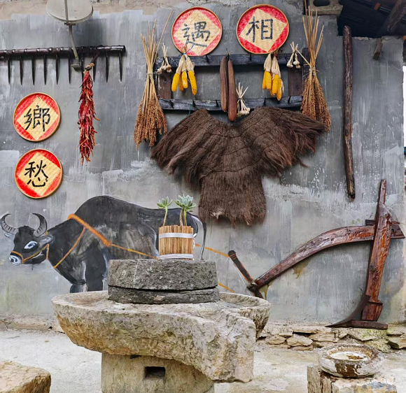 改造后的美麗庭院。秀山縣委宣傳部供圖