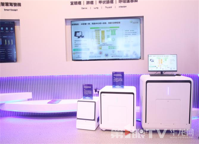 復興杏脈產品。第1眼TV-華龍網記者 殷睿 攝