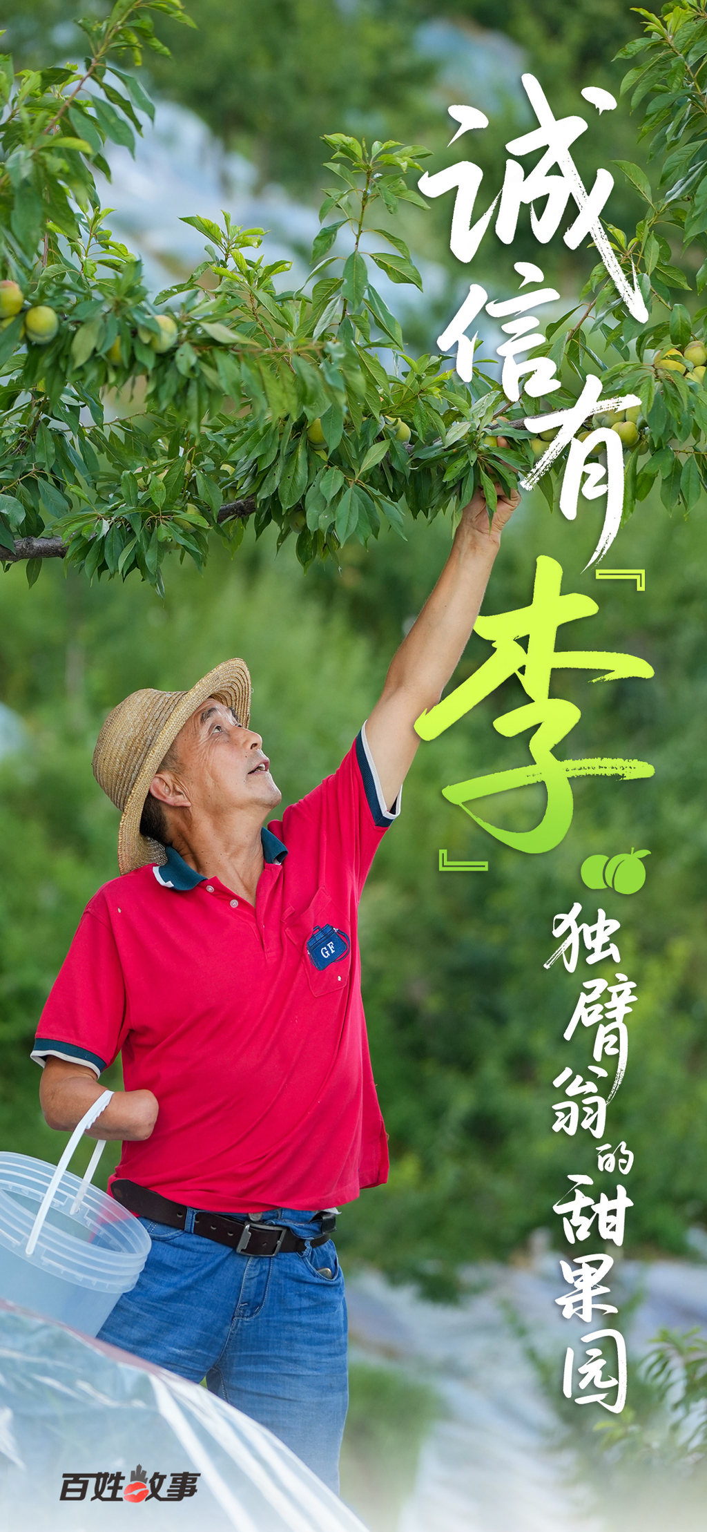 海报