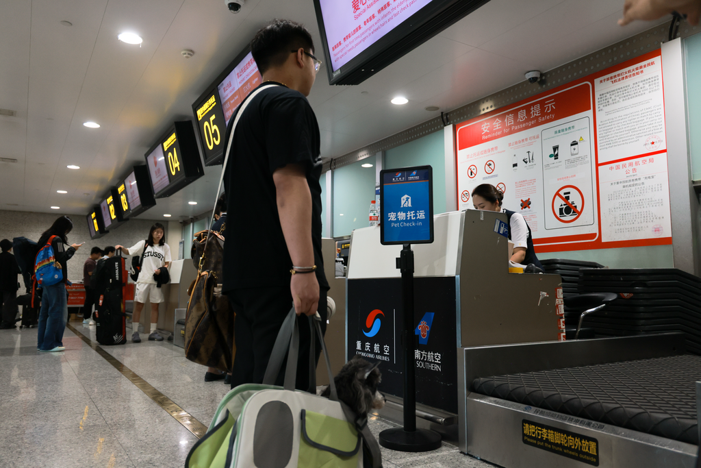 旅客正在为宠物办理“乘机”手续。重庆航空供图