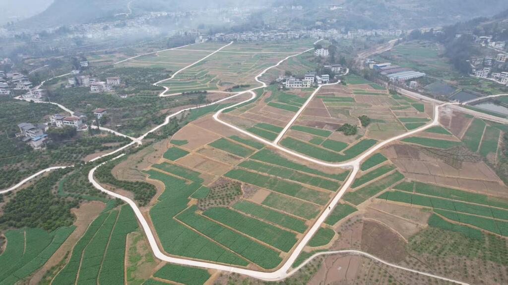奉節(jié)縣羊市鎮(zhèn)全力推進(jìn)高標(biāo)準(zhǔn)農(nóng)田建設(shè)。奉節(jié)縣委宣傳部供圖
