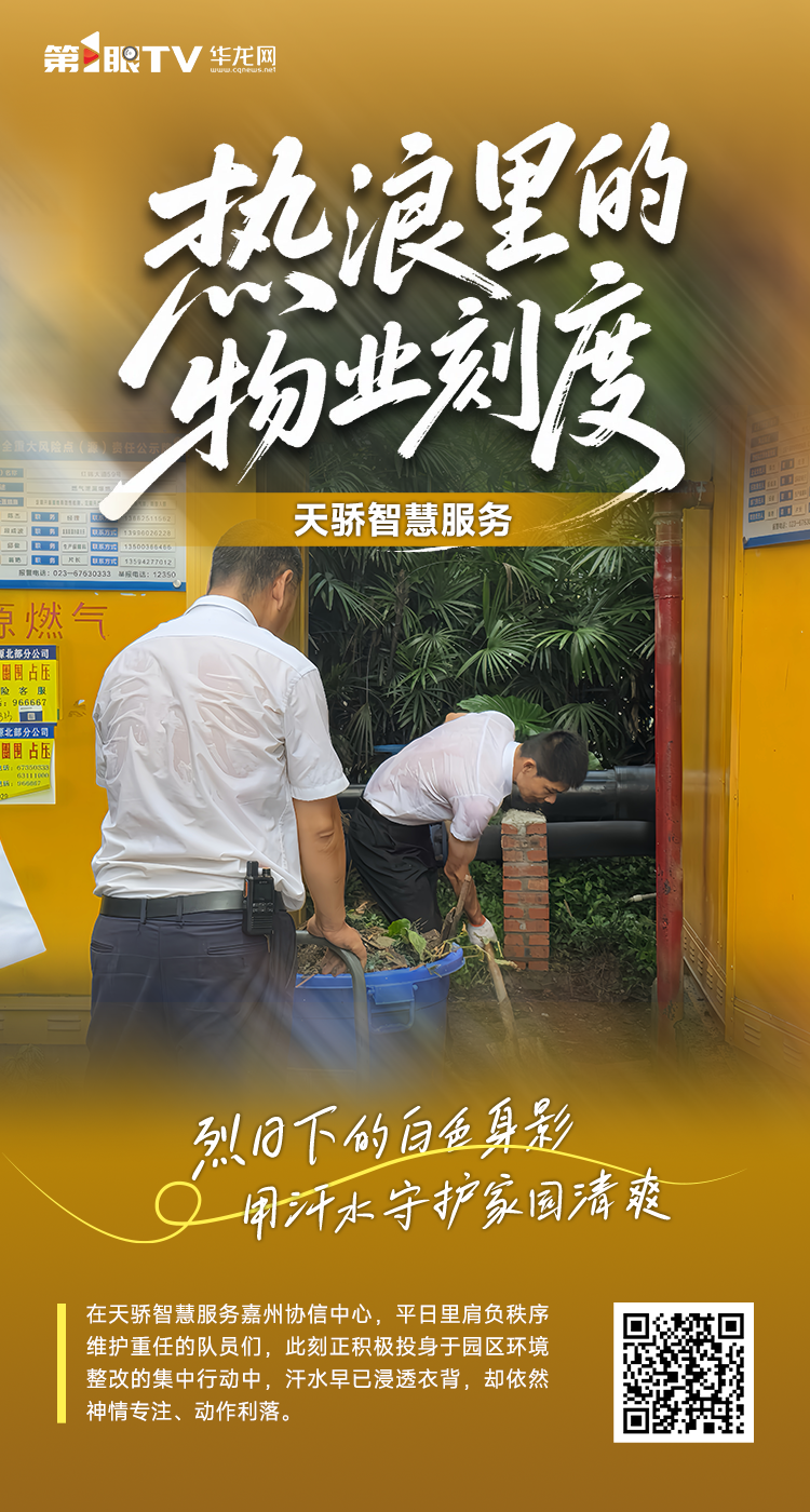 天骄智慧服务