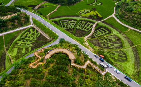 忠縣三峽橘鄉(xiāng)田園綜合體。市農(nóng)業(yè)農(nóng)村委供圖