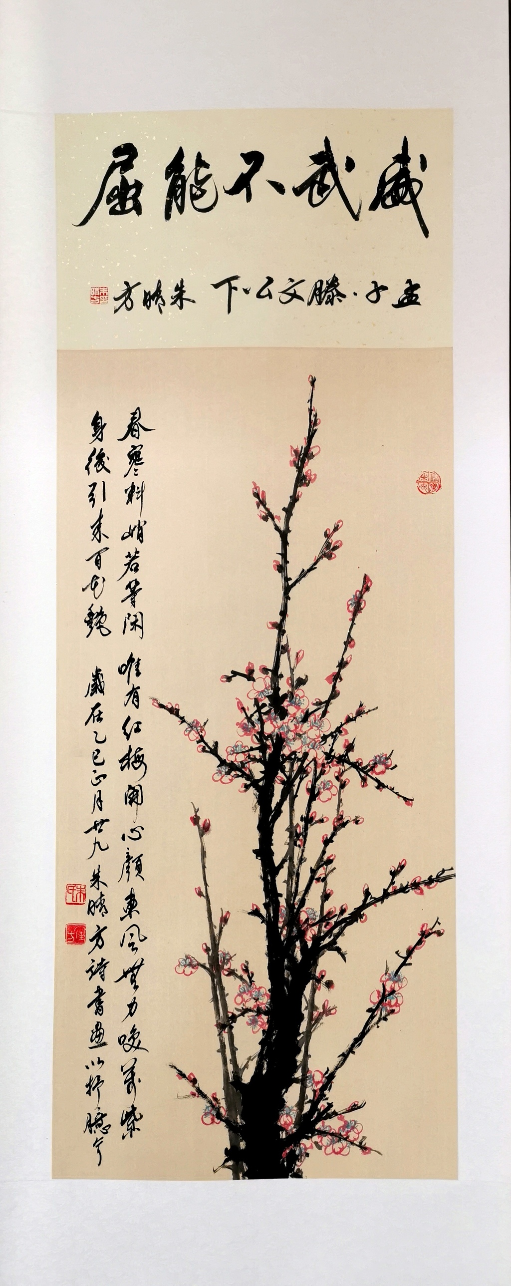 朱晴方：威武不能屈