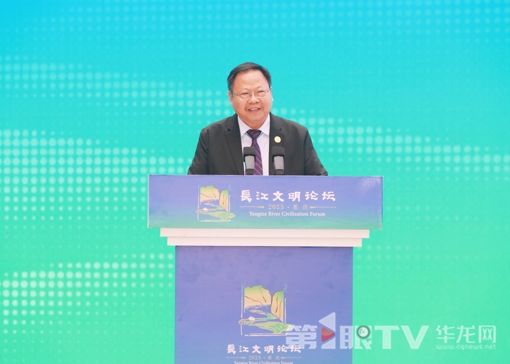 中国世界古代史研究会副会长、西南大学历史文化学院教授、博士生导师徐松岩。第1眼TV-华龙网首席记者 李文科 摄