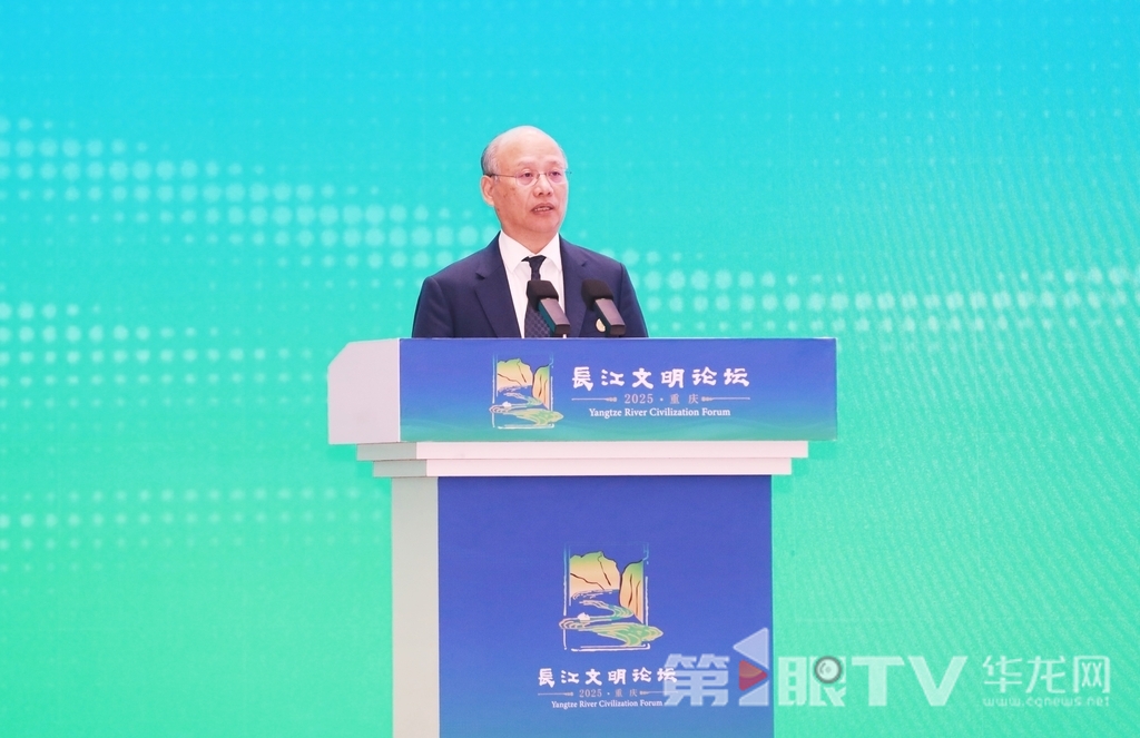 中国社会科学院学部委员、国际欧亚科学院院士、生态文明研究所研究员杨开忠。第1眼TV-华龙网首席记者 李文科 摄