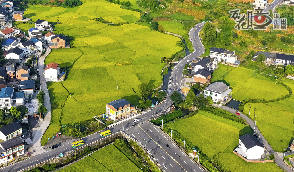 汽車行駛在鄉(xiāng)間道路上，稻田與民居相映成趣，美不勝收。圖為萬(wàn)盛經(jīng)開區(qū)的鄉(xiāng)村美景。曹永龍 攝