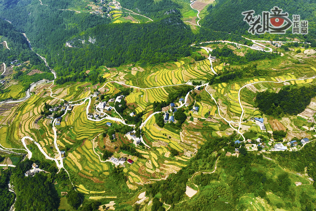 黔江區(qū)五里鎮(zhèn)甘溪村，金黃的稻田掩映在山巒和民居中，猶如一幅秋日油畫。稻浪翻涌，仿佛能聽見大地因豐盈而發(fā)出的愉悅回響。楊敏 攝