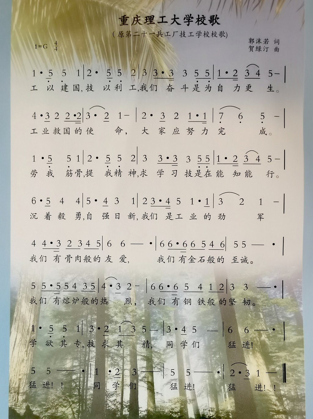 image (2)