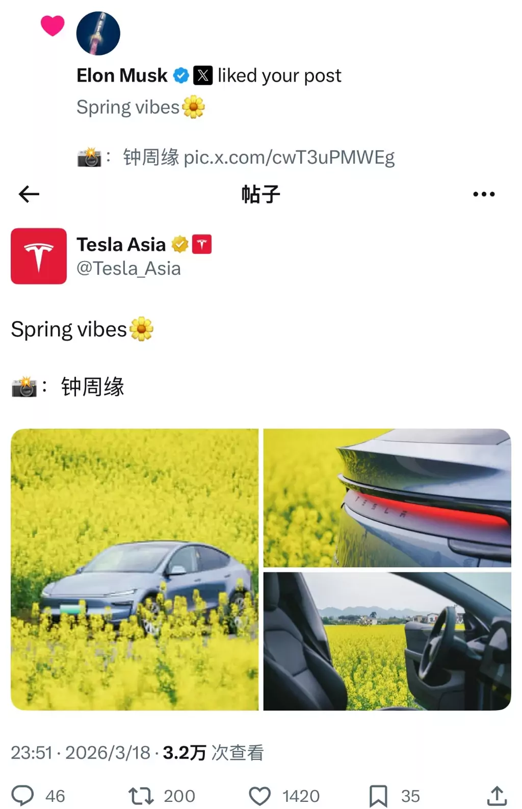 马斯克在社交平台上点赞重庆油菜花。