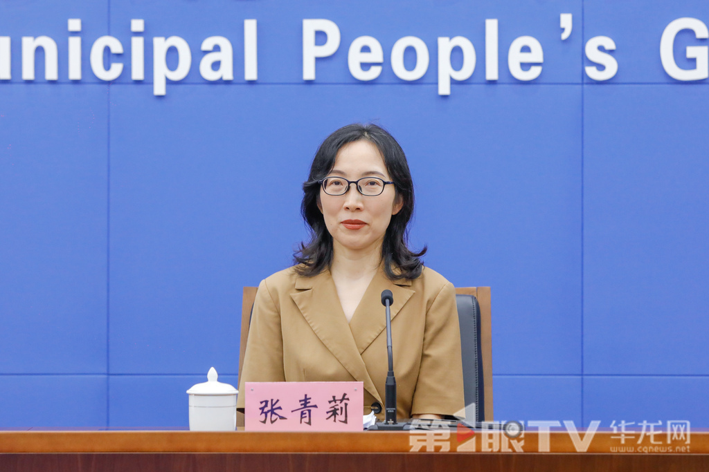 市婦聯(lián)黨組成員、副主席張青莉回答記者提問。第1眼TV-華龍網(wǎng)記者 石濤 攝