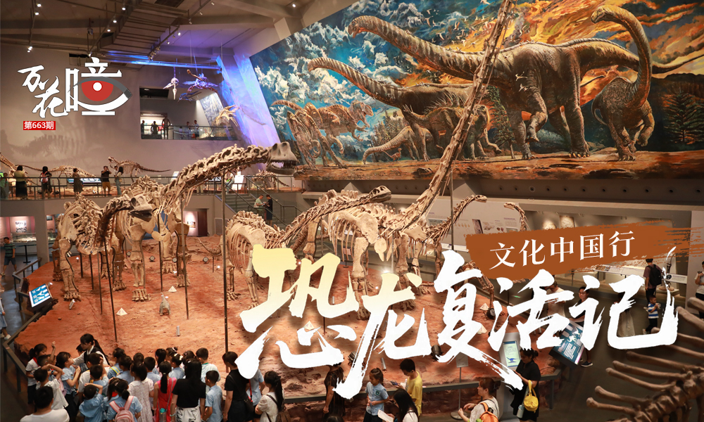 最近，重慶黔江白堊紀恐龍火爆“出圈”。事實上，重慶不只有長生黔江龍，還有云陽的世界級恐龍化石群。因恐龍資源豐富，重慶也被譽為“恐龍脊背上的城市”?？铸埢侨绾伪话l(fā)現(xiàn)的？它怎樣與巖層分離？“散裝”的恐龍化石又如何“站立”？第1眼TV-華龍網帶你揭秘一只恐龍的“復活之旅”。