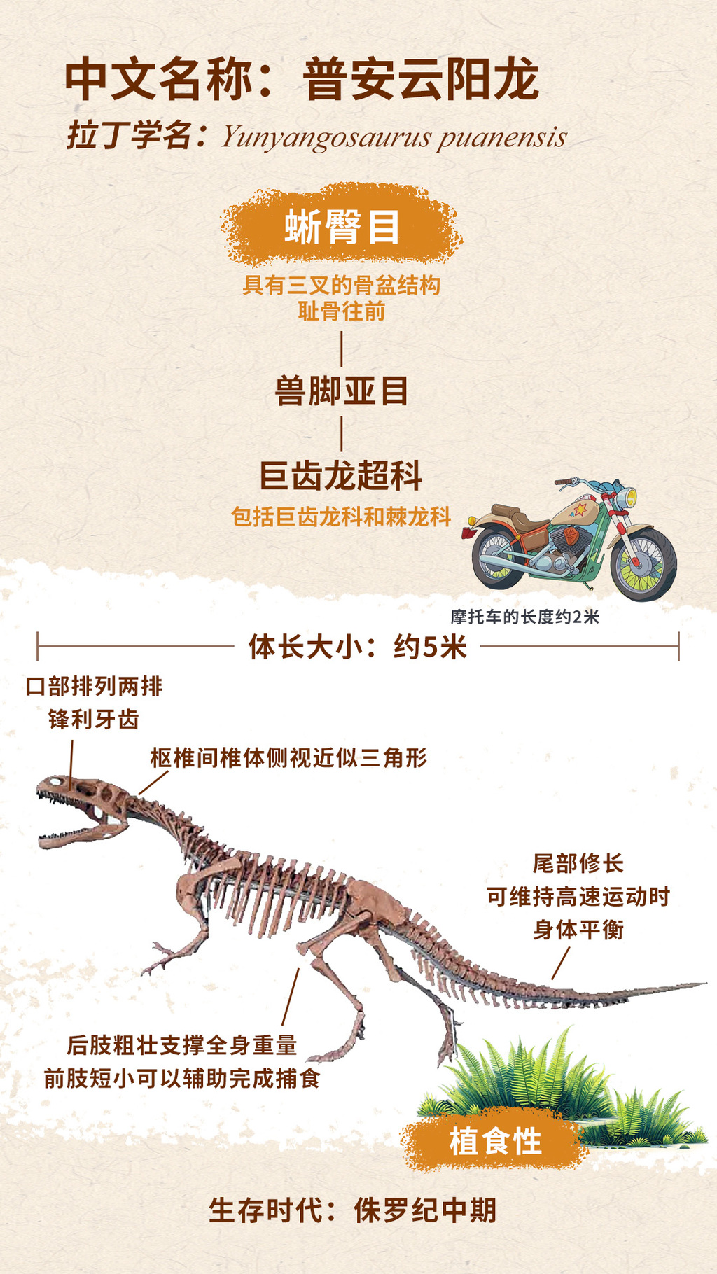 云阳龙 拷贝