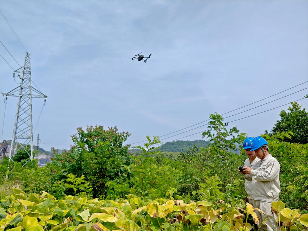 国网重庆秀山供电公司员工在乌杨街道大田坝村巡检35千伏涌三线。受访单位供图