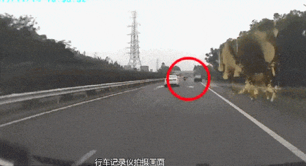 电动自行车上高速！驾驶员：“我走的边上车道，感觉挺安全……”