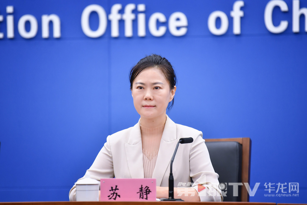市人力社保局副局長蘇靜回答記者提問。第1眼TV-華龍網(wǎng)記者 李一鳴 攝