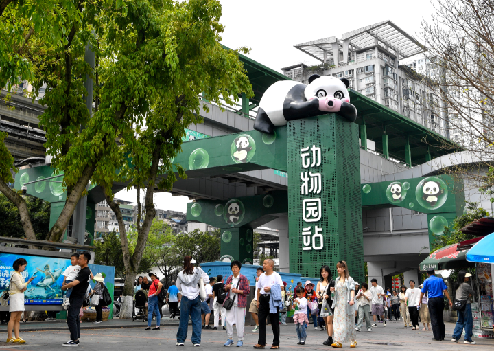 市民在動物園站換乘軌道交通。記者 周邦靜 攝