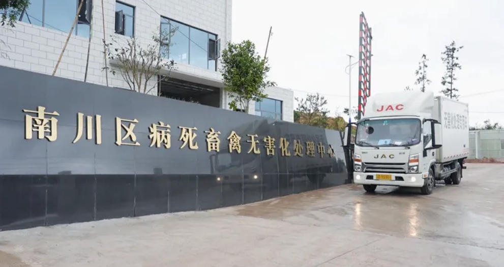 消殺完成的無(wú)害化處理專(zhuān)用車(chē)駛出病死畜禽無(wú)害化處理中心。南川融媒體中心供圖