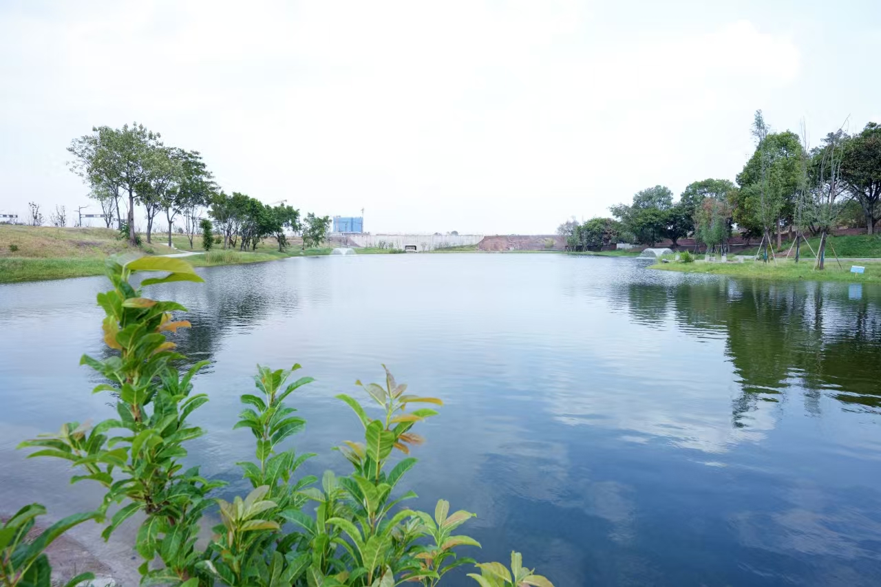 張家河溝。重慶高新區(qū)生態(tài)環(huán)境局供圖